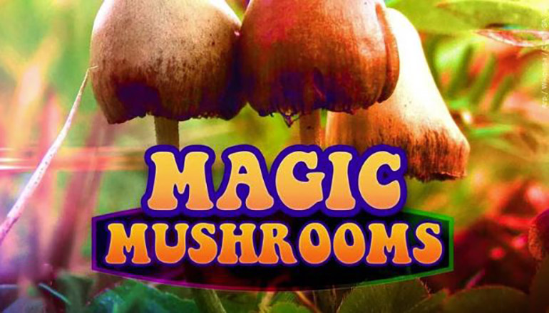 Magic mushrooms or Psilocybin news graphic