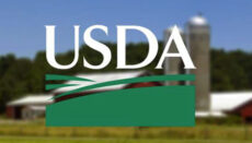 USDA or United States Department of Agriculture News Graphic