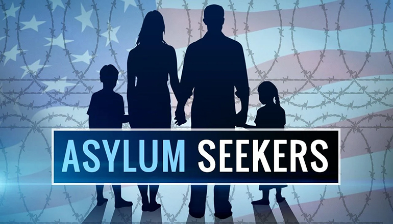 Asylum Seekers News Graphic
