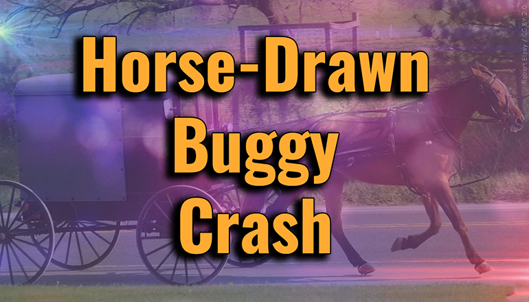 Horse Drawn Buggy Crash or Accident