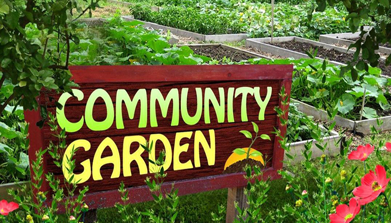 Community Garden News Graphic