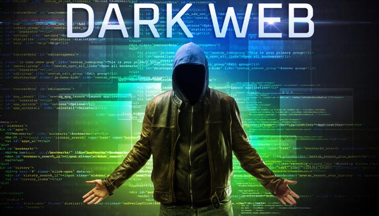 Kingdom Market operator pleads guilty in St. Louis court