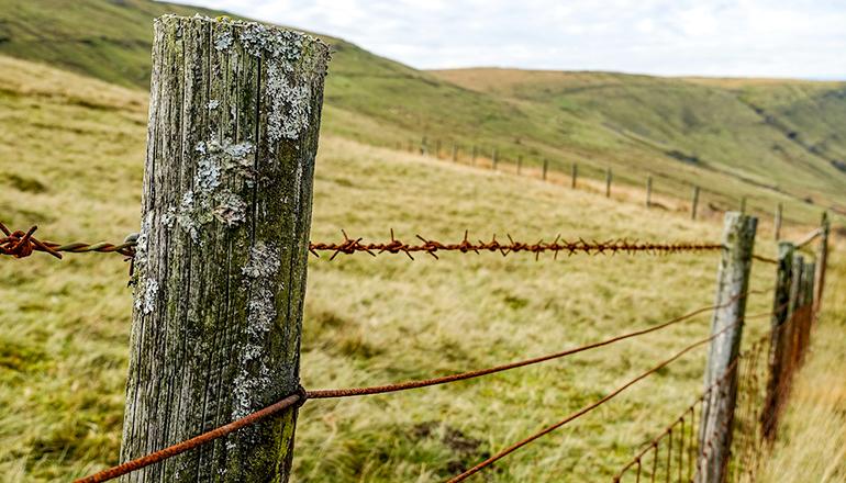 Barbed Wire Fence with wooden posts