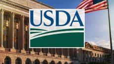 News Graphic of USDA office building with USDA logo