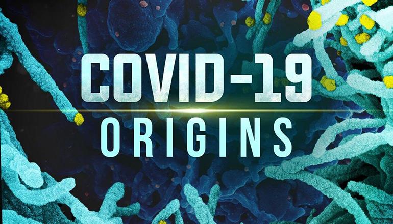 COVID-19 Origins Nes Graphic