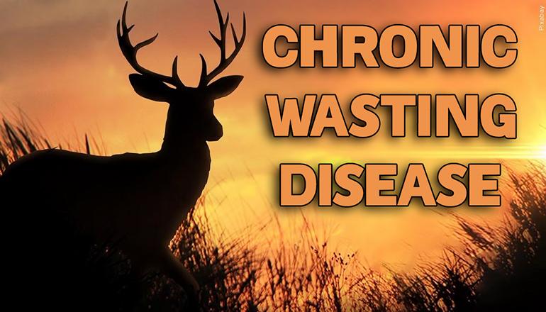 Chronic Wasting Disease News Graphic