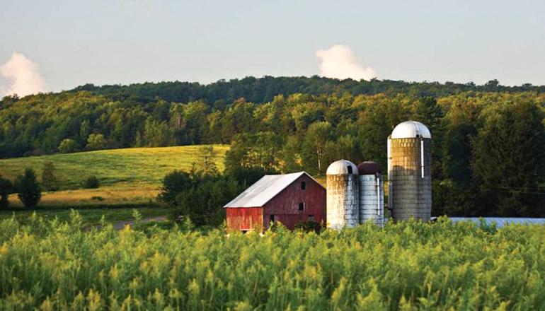 Barn and silos in a field (farm land)