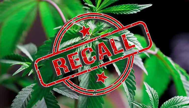Cannabis Recall News Graphic