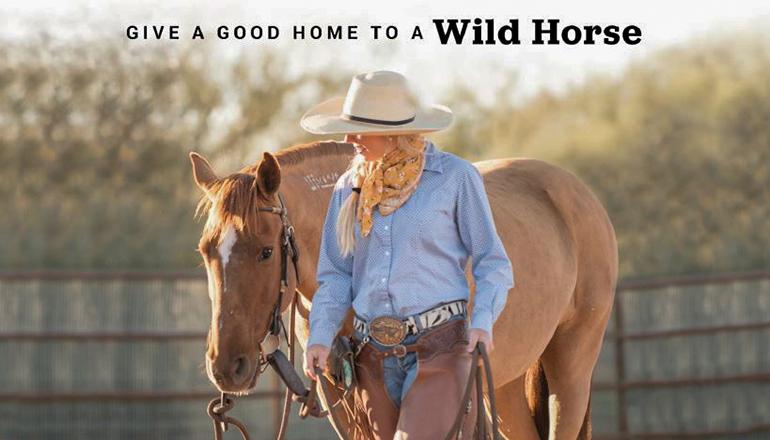 Bureau of Land Management Wild Horse Placement