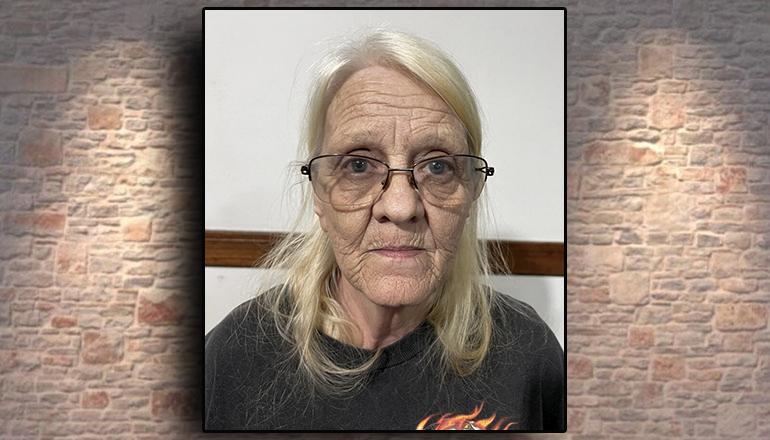 Debra Phillips Booking Photo (Photo courtesy Putnam County Jail)