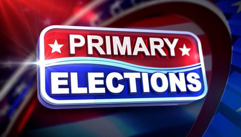 Primary Elections News Graphic