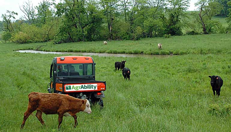 ATV in a field of grass and cattle