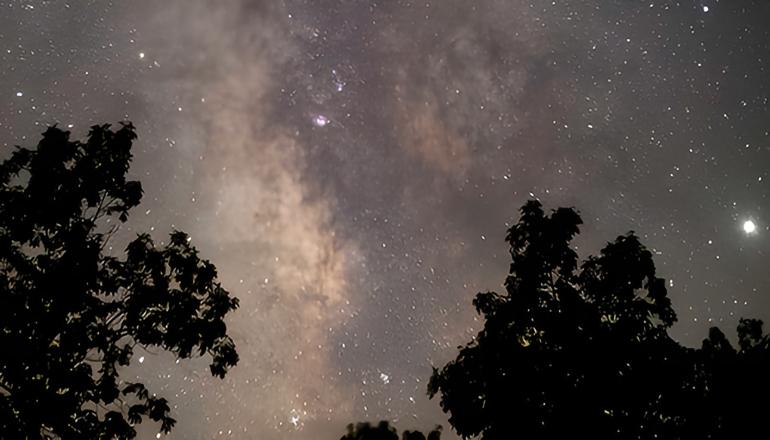 Dark Skies Stargazing photo