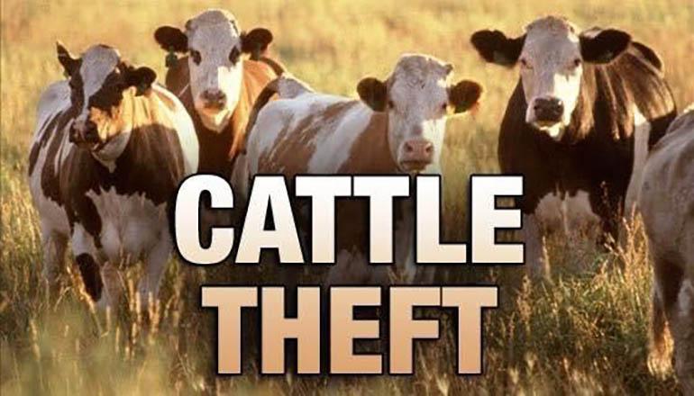 Rolla man charged after patrol links him to Missouri cattle thefts