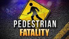 Pedestrian Fatality News Graphic V2