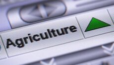 Agriculture graphic
