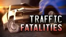 Traffic Fatalities graphic