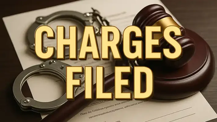 Charges Filed Graphic by AI