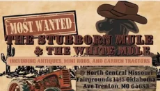 Stubborn Mule graphic