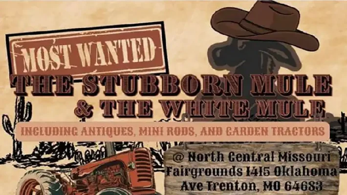 Stubborn Mule graphic