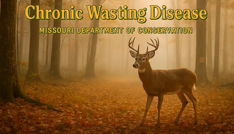New counties added to Missouri’s CWD Management Zone