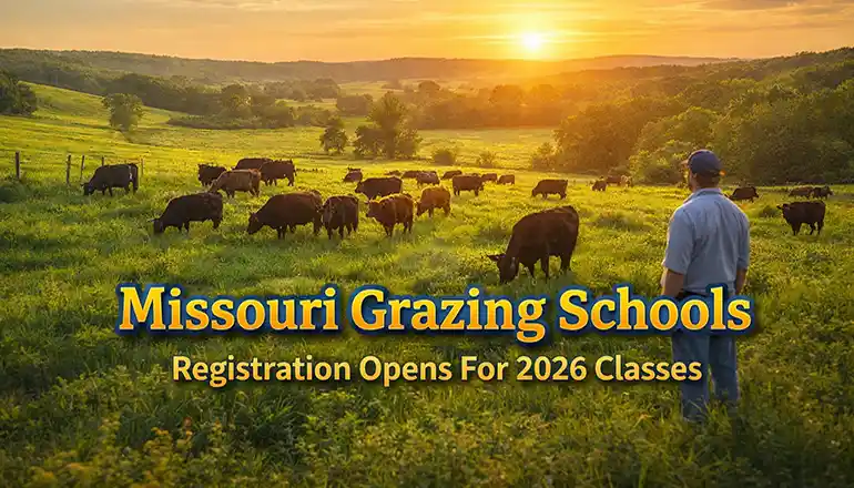 Missouri grazing schools open for 2026 livestock training statewide