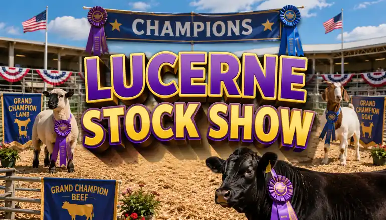 Lucerne Stock Show announces livestock results